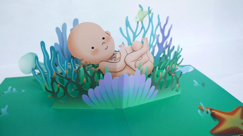 你在媽媽肚子裡的樣子―1：1真實比例小寶寶立體書（立體封面典藏版）